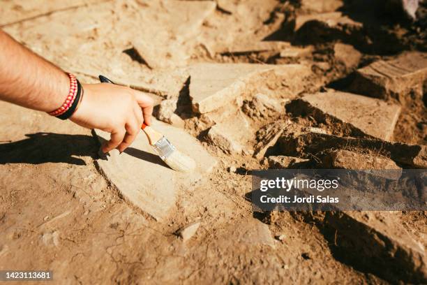 archaeologist working in an archaeological - archéologie photos et images de collection