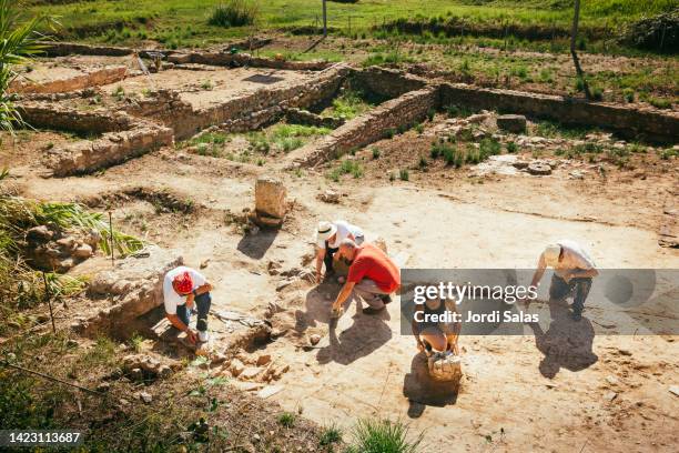 archaeologist working on archaeological site - archeologie stockfoto's en -beelden