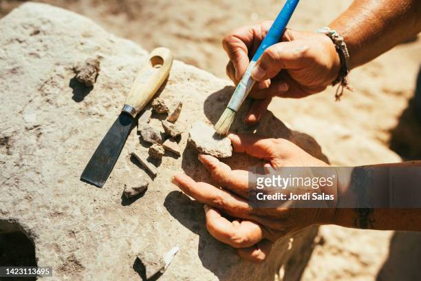 archaeologist brushing pottery on an archaeological site - arqueologia fotografías e imágenes de stock