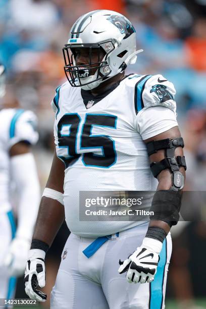 Defensive tackle Derrick Brown of the Carolina Panthers looks on during the first half of their NFL game against the Cleveland Browns at Bank of...