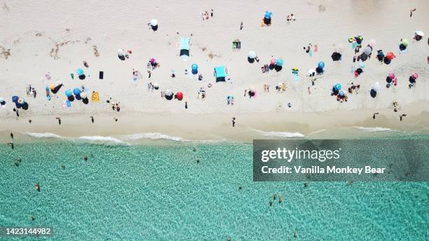 aerial view of a people at the beach - people aerial view beach stock pictures, royalty-free photos & images