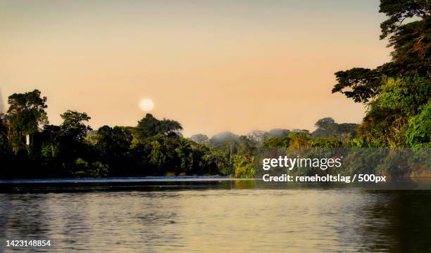 scenic view of lake against sky during sunset,awaradam,paramaribo,suriname - gazon stock pictures, royalty-free photos & images