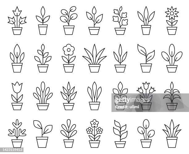 potted plants - palm trees clipart stock illustrations