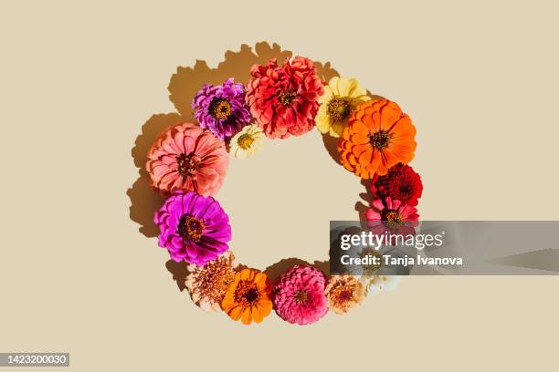 flowers composition. wreath made of various bright autumn flowers on beige background. flat lay, top view, copy space - floral wreath bildbanksfoton och bilder