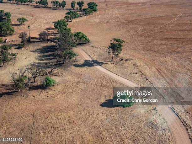 aerial view of dry paddock and stock - australian outback animals stock pictures, royalty-free photos & images