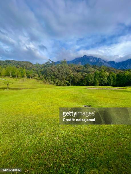 view of mount kinabalu from green grass field - sabah state stock pictures, royalty-free photos & images