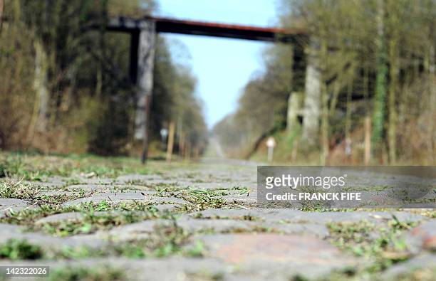 Picture taken on April 2, 2012 in Arenberg, northem France, shows the Arenberg trench on the route of Paris-Roubaix cycling race. After a period of...