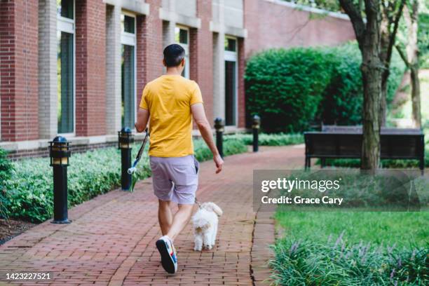 man walks his dog in office park - office building exterior small stock pictures, royalty-free photos & images