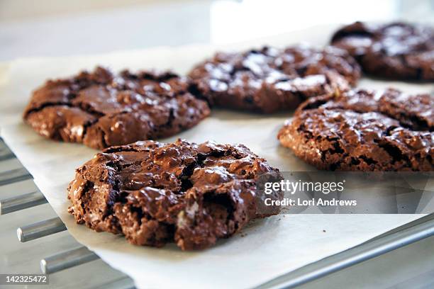 double chocolate pecan cookies - pekannuss stock-fotos und bilder