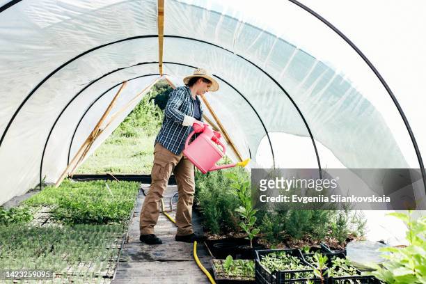 portrait of adult pretty woman gardener watering plants with watering can in greenhouse. - formal garden stock photos et images de collection