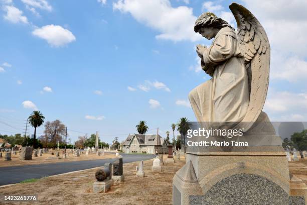 Gravestones stand above dried grass at Evergreen Cemetery, which lacks recycled water and is the city's oldest nondenominational cemetery, on...