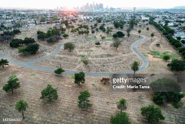 In an aerial view, gravestones stand above dried grass at Evergreen Cemetery, which lacks recycled water and is the city's oldest nondenominational...