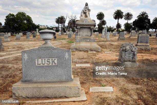 Gravestones stand above dried grass at Evergreen Cemetery, which lacks recycled water and is the city's oldest nondenominational cemetery, on...