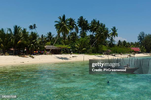 tropical paradise beach - derawan island stock pictures, royalty-free photos & images