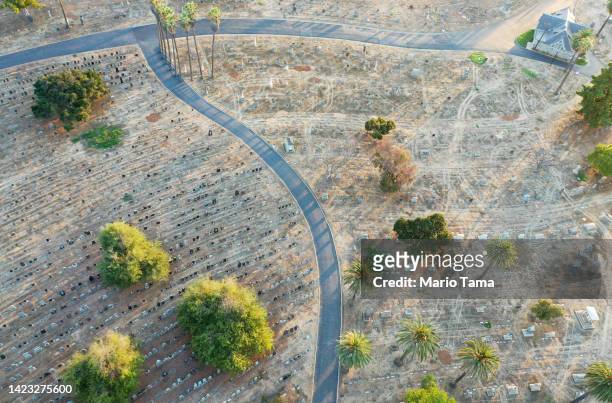 In an aerial view, gravestones stand above dried grass at Evergreen Cemetery, which lacks recycled water and is the city's oldest nondenominational...