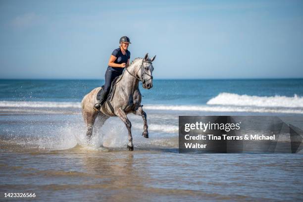 a young woman rides a horse on a lonely beach. - attività equestre ricreativa foto e immagini stock