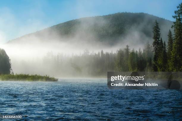 foggy morning on a mountain river in the taiga of the eastern sayan mountains. - cedar river stock pictures, royalty-free photos & images