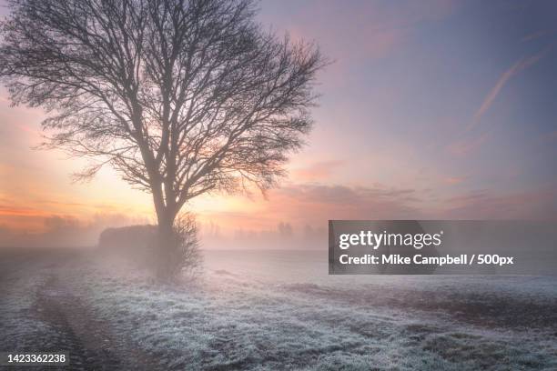 scenic view of snow covered landscape against sky during sunset,northampton,united kingdom,uk - northampton england stock pictures, royalty-free photos & images