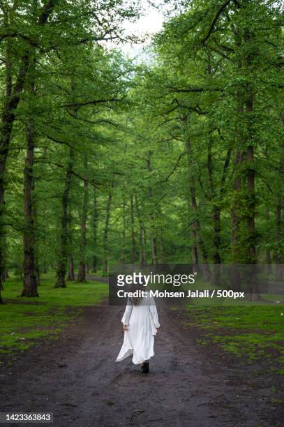 woman in white walking in amol forest,iran - amol stock pictures, royalty-free photos & images