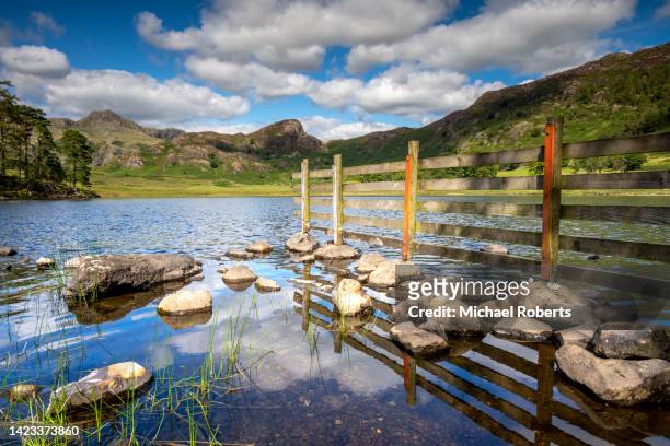blea tarn and the langdale pikes in the english lake district - ambleside imagens e fotografias de stock