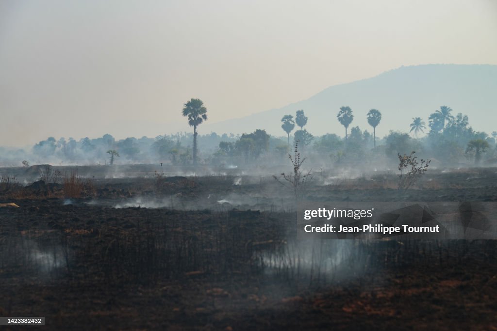 Slash-and-burn agriculture - Burnt field in Southeast Asia