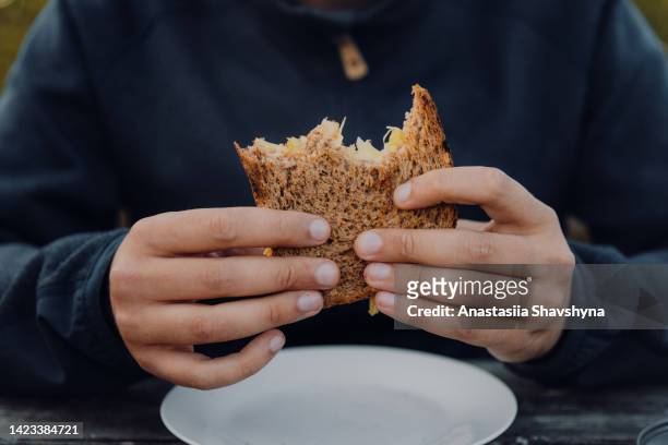 man enjoying grilled sandwich - norway food stock pictures, royalty-free photos & images