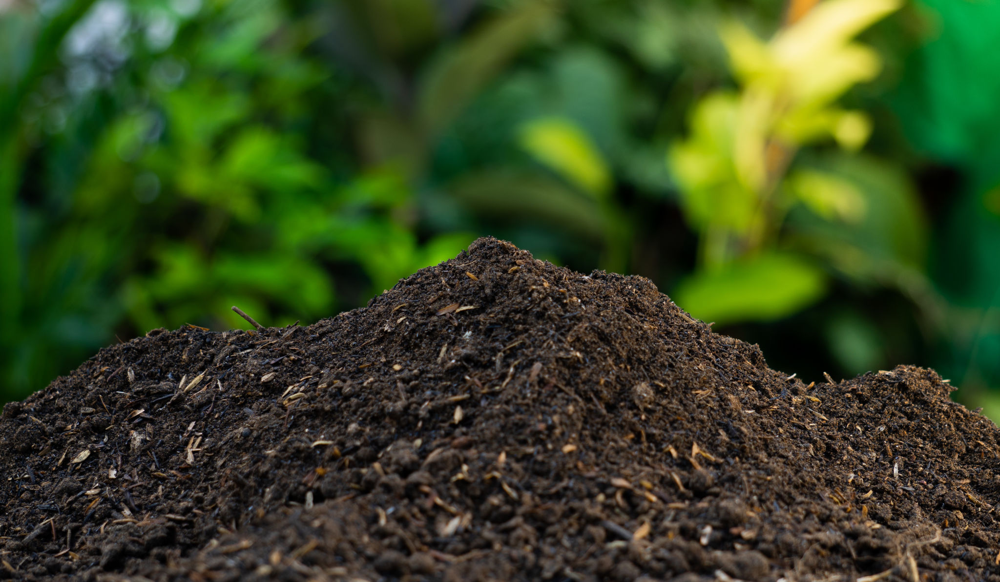 compost pile garden