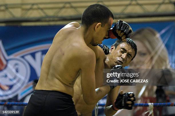 "Torogoz" and "Jagger" participate in a fight during the Sambo -martial art created in the former Soviet Union for the defense of the soldiers-...