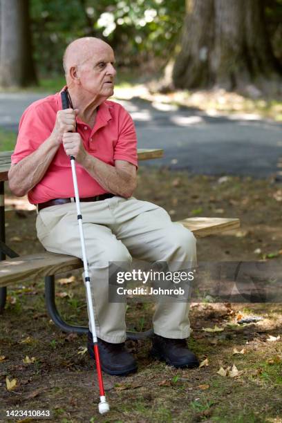 blind person sitting in park holding blind persons cane - blind persons cane stock pictures, royalty-free photos & images