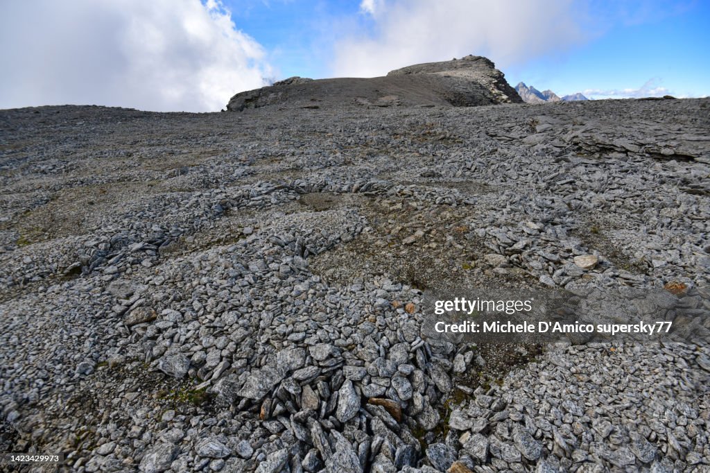 Simple Pattern Ground Patterned Ground On A Highelevation Barren Plateau In The Alps High-Res ...