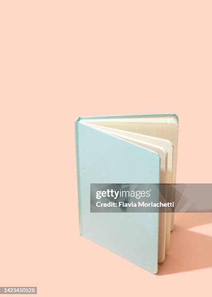 open notepad - blank pages in open book overhead view stock pictures, royalty-free photos & images