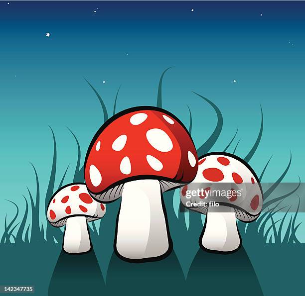 magic mushrooms [vector] - toadstool stock illustrations
