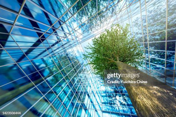 business buildings and growing green leaves tree - 零廢棄 個照片及圖片檔