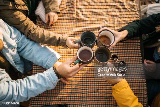 picnic drink - cup of tea from above stock pictures, royalty-free photos & images