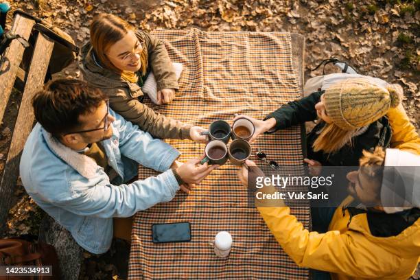 grupo de personas bebiendo té en el picnic - cup of tea from above fotografías e imágenes de stock