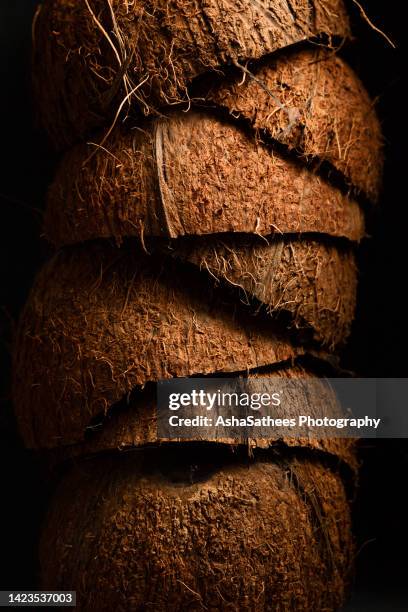 coconut shells - husk stock-fotos und bilder