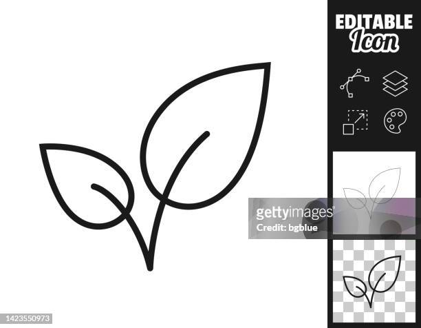 ilustraciones, imágenes clip art, dibujos animados e iconos de stock de hojas. icono para el diseño. fácilmente editable - blak and white leaves