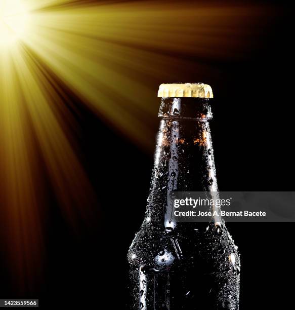 outdoor beer bottle lit by sunlight. - bottle condensation stock pictures, royalty-free photos & images