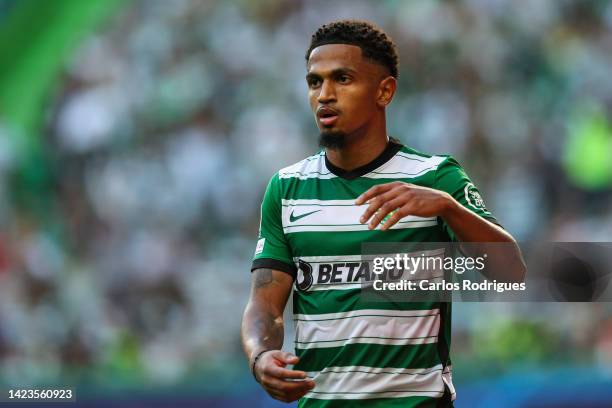 Marcus Edwards of Sporting CP looks on during the UEFA Champions League group D match between Sporting CP and Tottenham Hotspur at Estadio Jose...