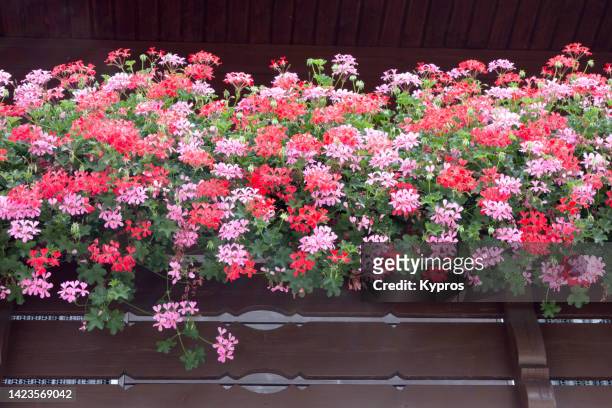 balcony with flowers and window-box - flower boxes stock pictures, royalty-free photos & images