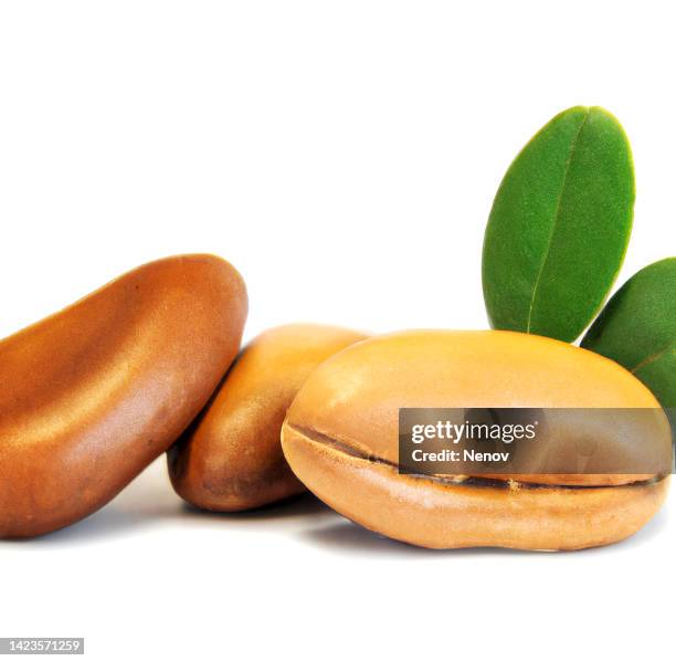 argan seeds (argania spinosa) isolated on white background - argan stock-fotos und bilder