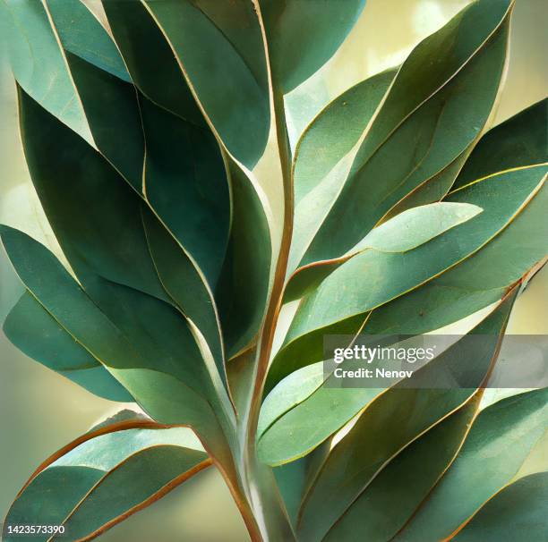 texture of green eucalyptus leaves - eucalyptus grandis photos et images de collection