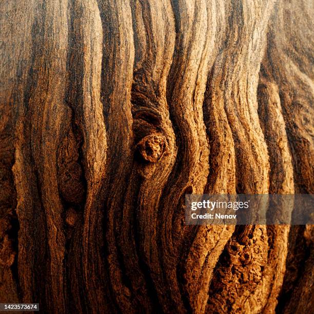 image of tree bark texture - cedro foto e immagini stock