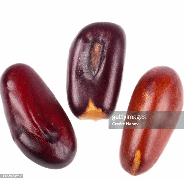 jojoba seeds isolated on white background - jojoba seed stock pictures, royalty-free photos & images