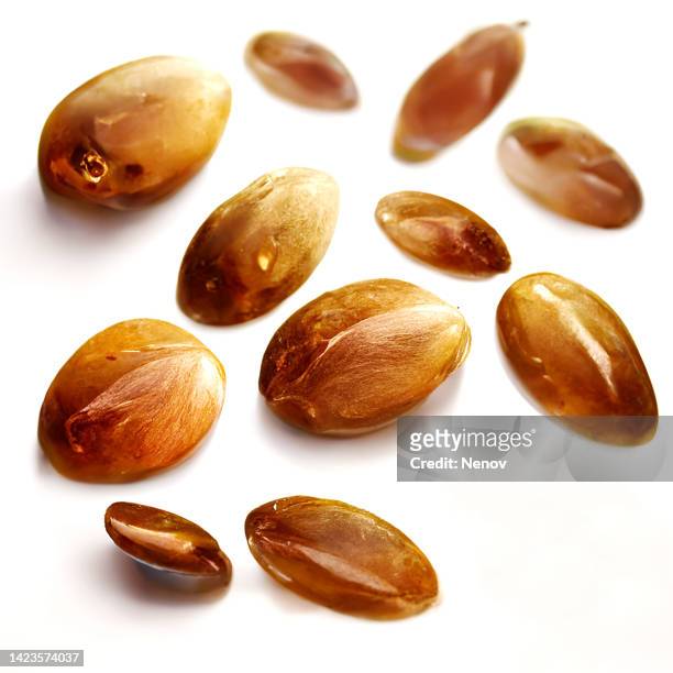 argan seeds (argania spinosa) isolated on white background - argan oil stock-fotos und bilder