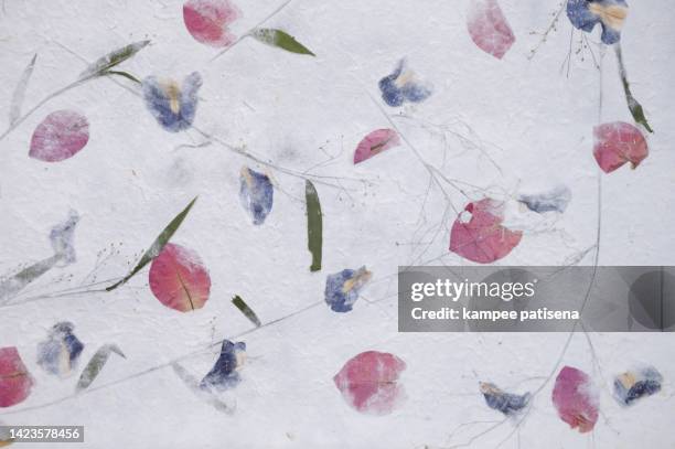 mulberry paper with leaf and flower print texture background. - 手漉きの紙 ストックフォトと画像