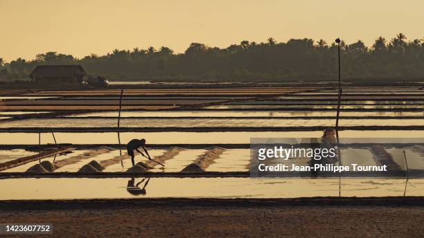 man working in a salt farm in southern myanmar - sales occupation fotografías e imágenes de stock