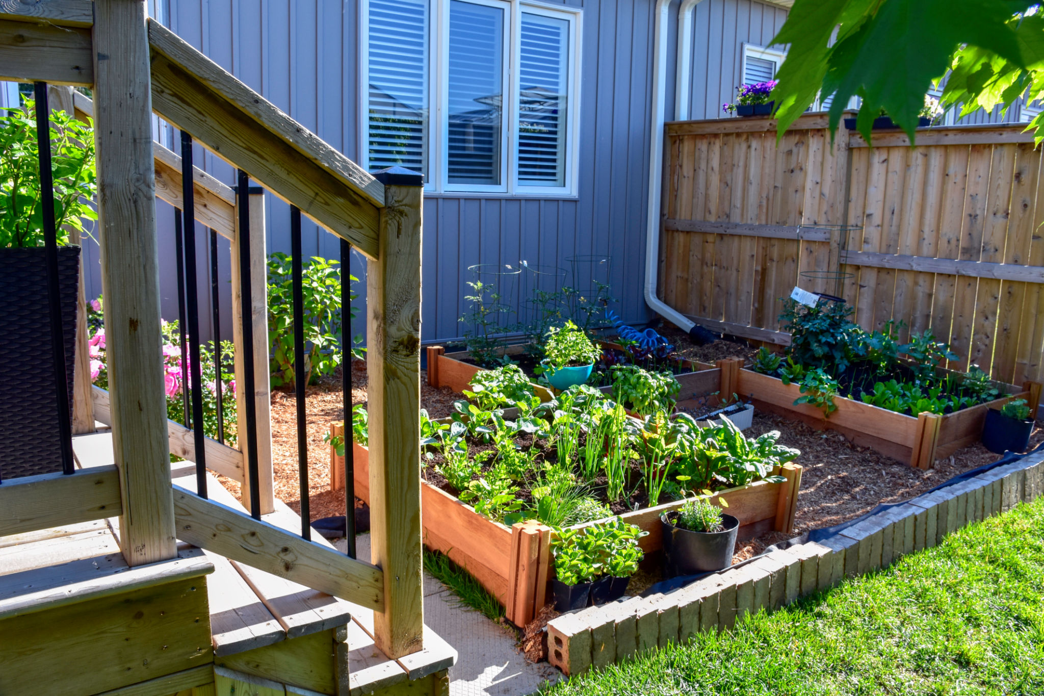 urban gardening budget