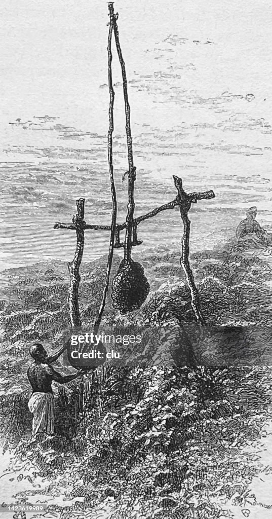 Egypt: Draw well for irrigating the fields