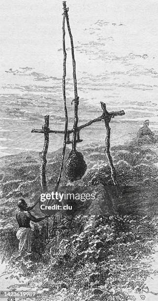 egypt: draw well for irrigating the fields - nile river agriculture stock illustrations